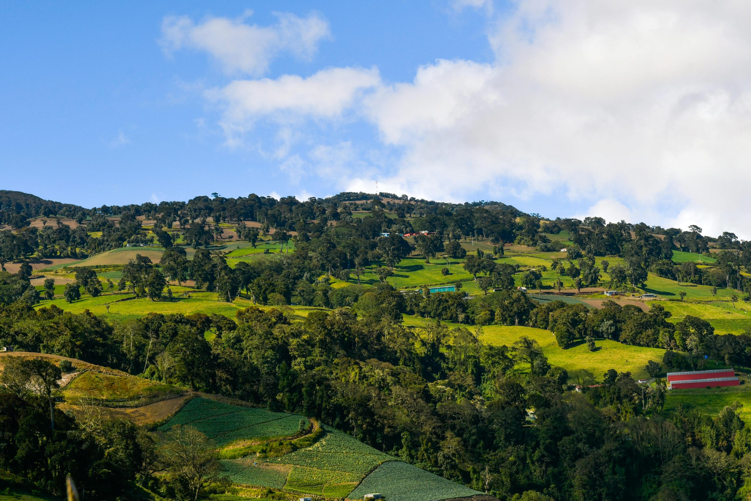 campagne du Costa Rica